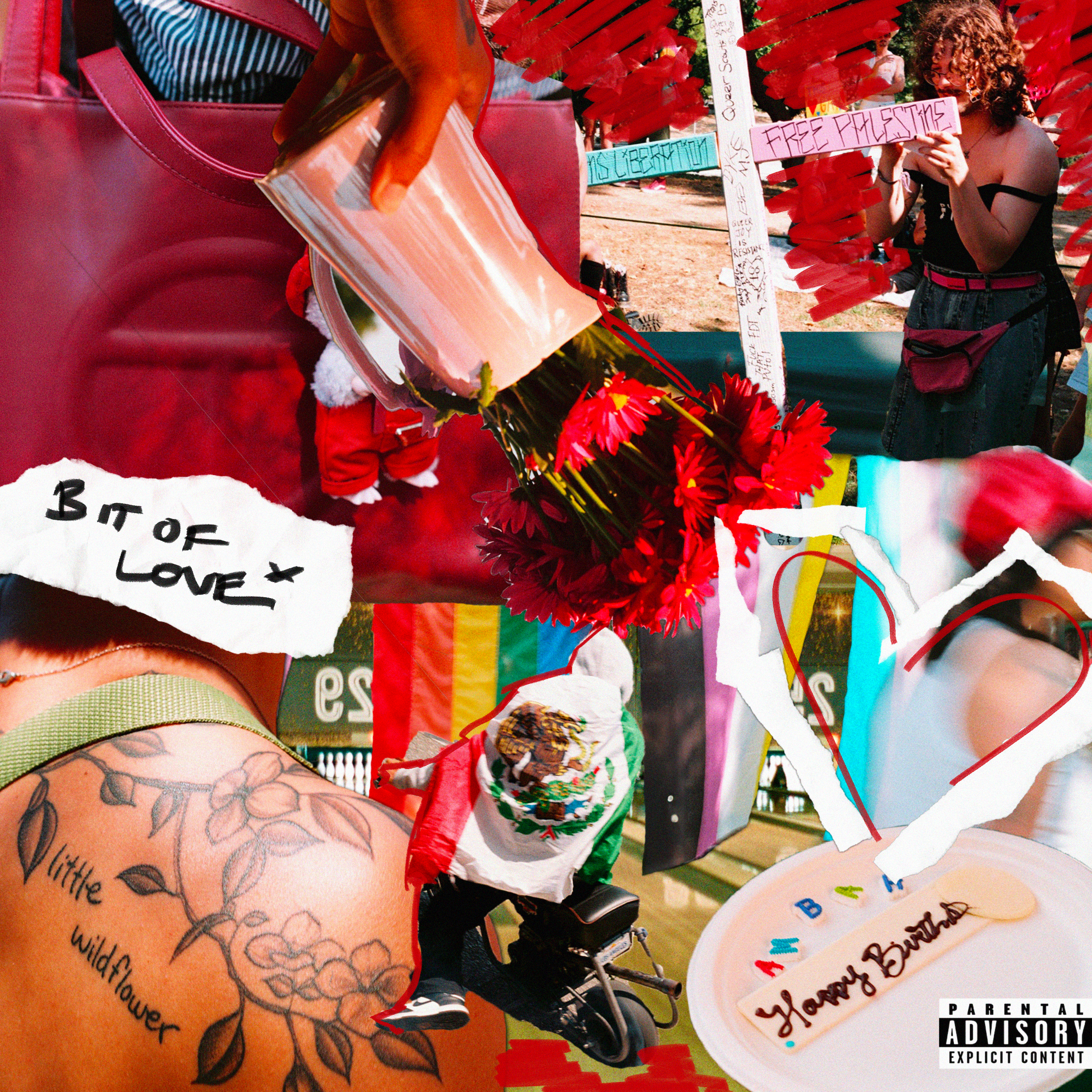 BIT OF LOVE - Amber Ryann (New Single)